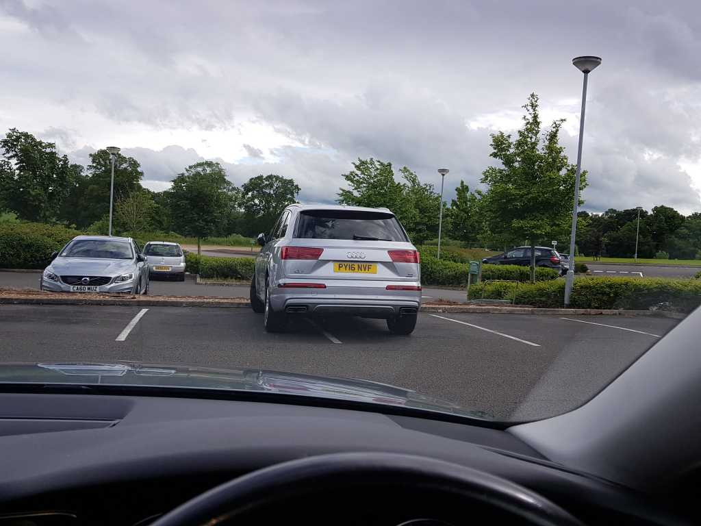 PY16 NVF is an Inconsiderate Parker