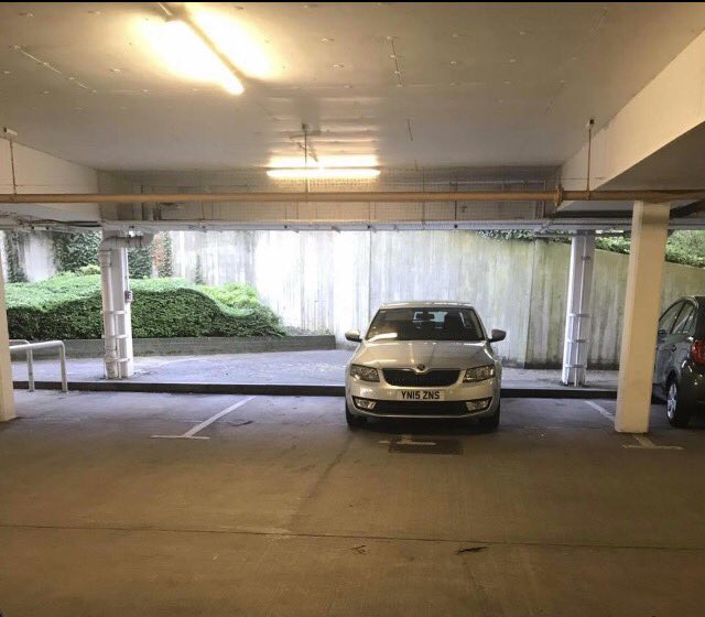 YN15 ZNS displaying Selfish Parking