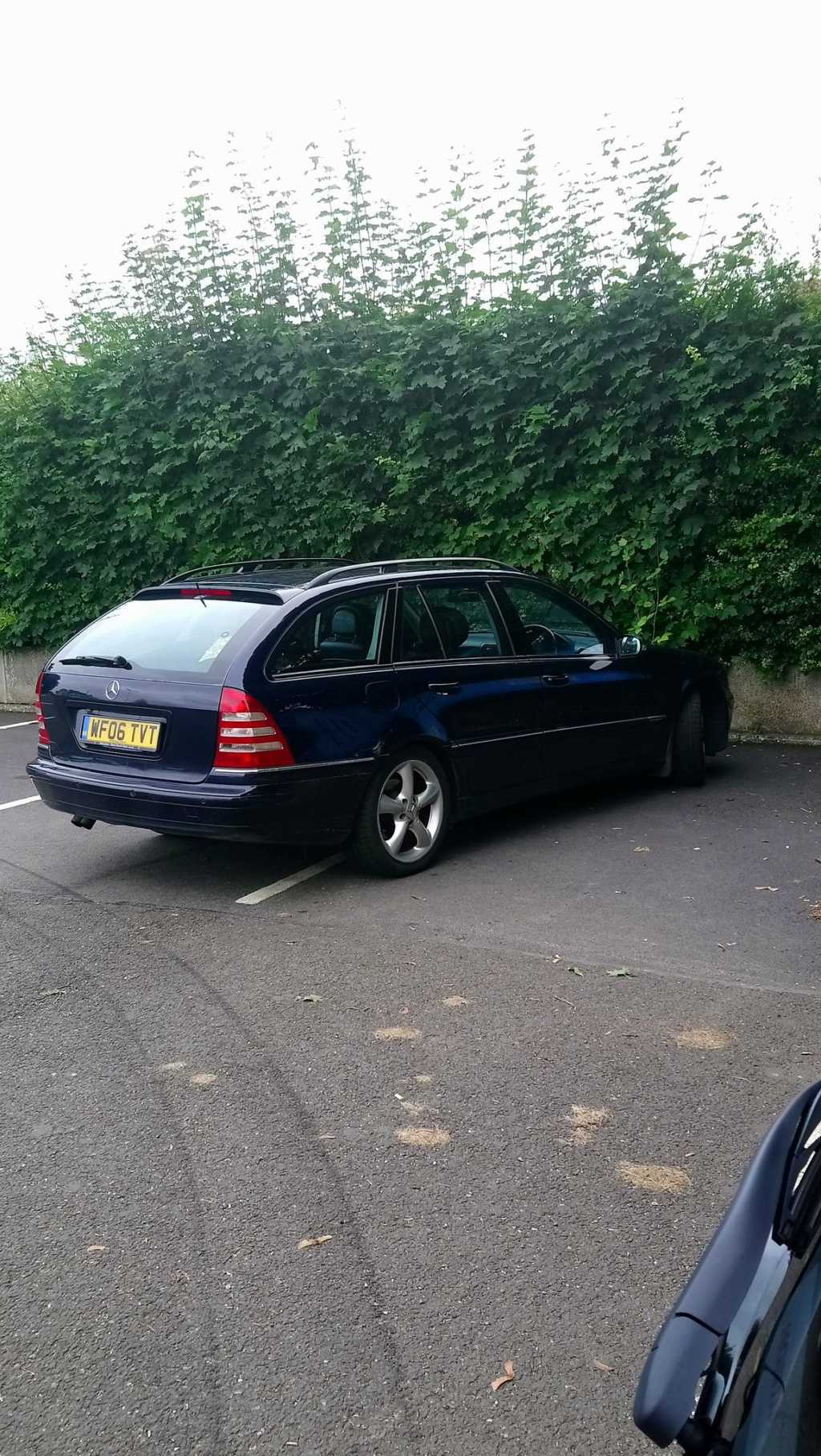 WF06 TVT is a Selfish Parker