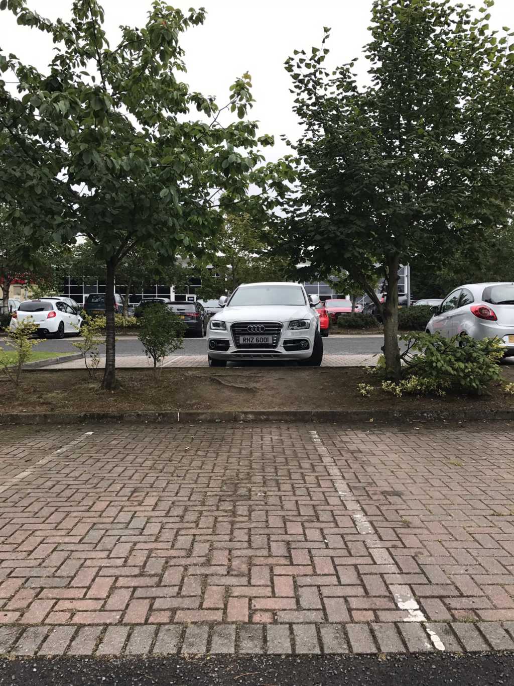 REG NOT ADDED is a crap parker