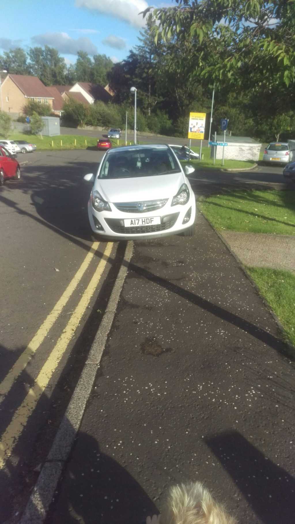 A17 HDF is a Selfish Parker