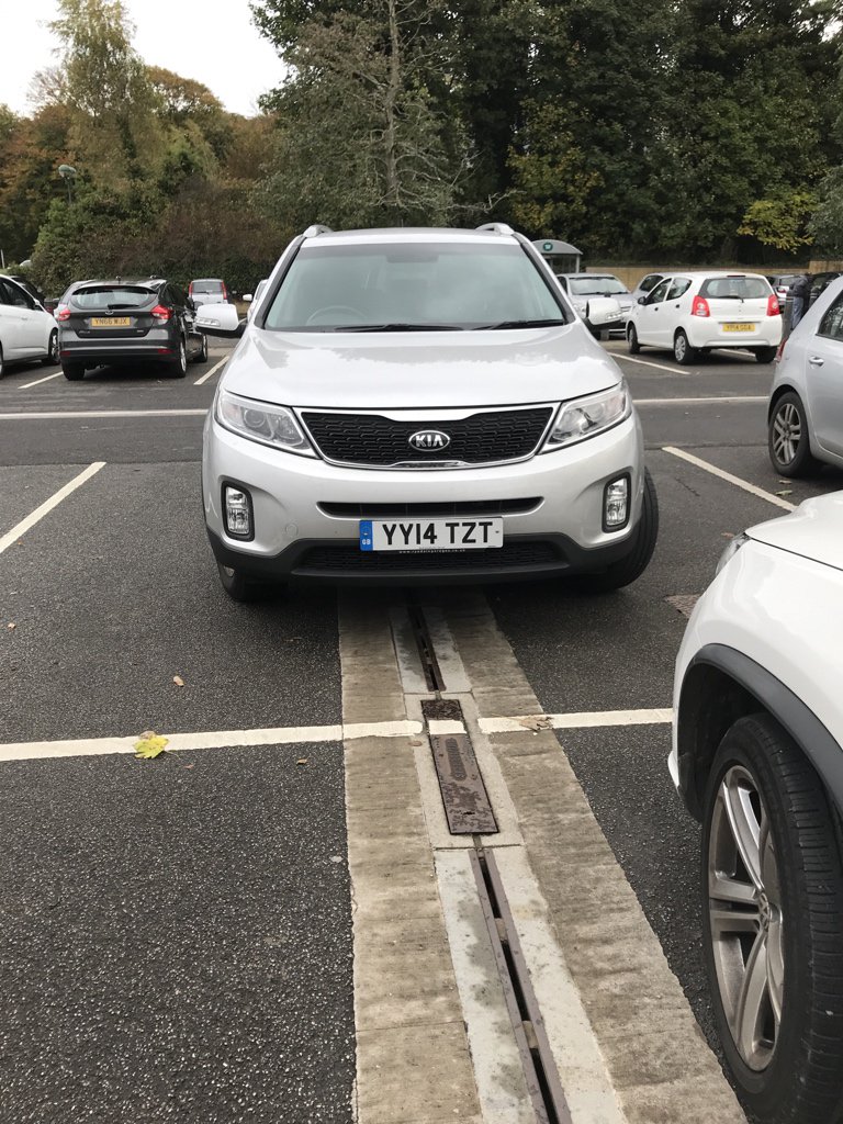 YY14 TZT is a Selfish Parker