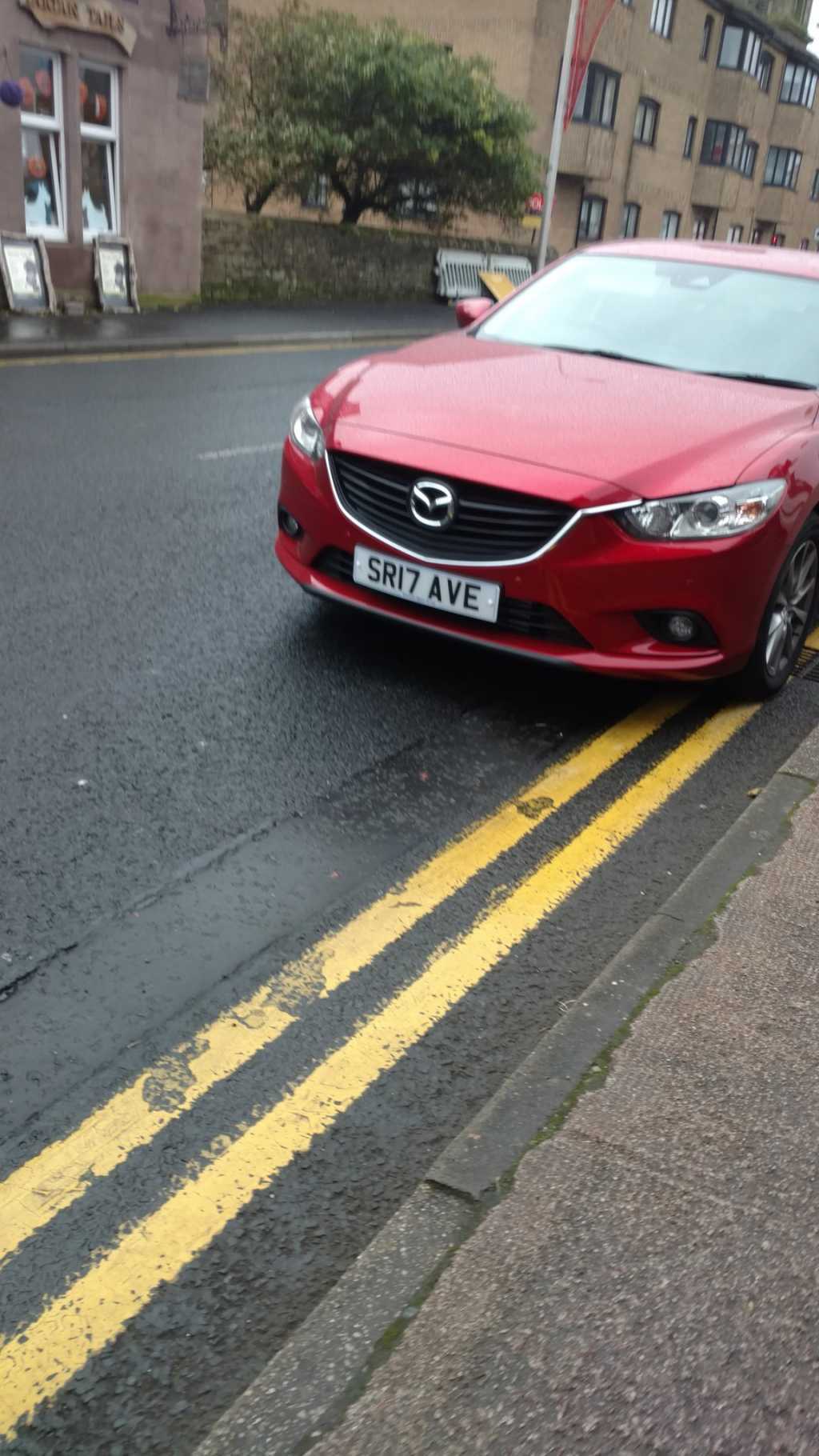SR17 AVE displaying Inconsiderate Parking