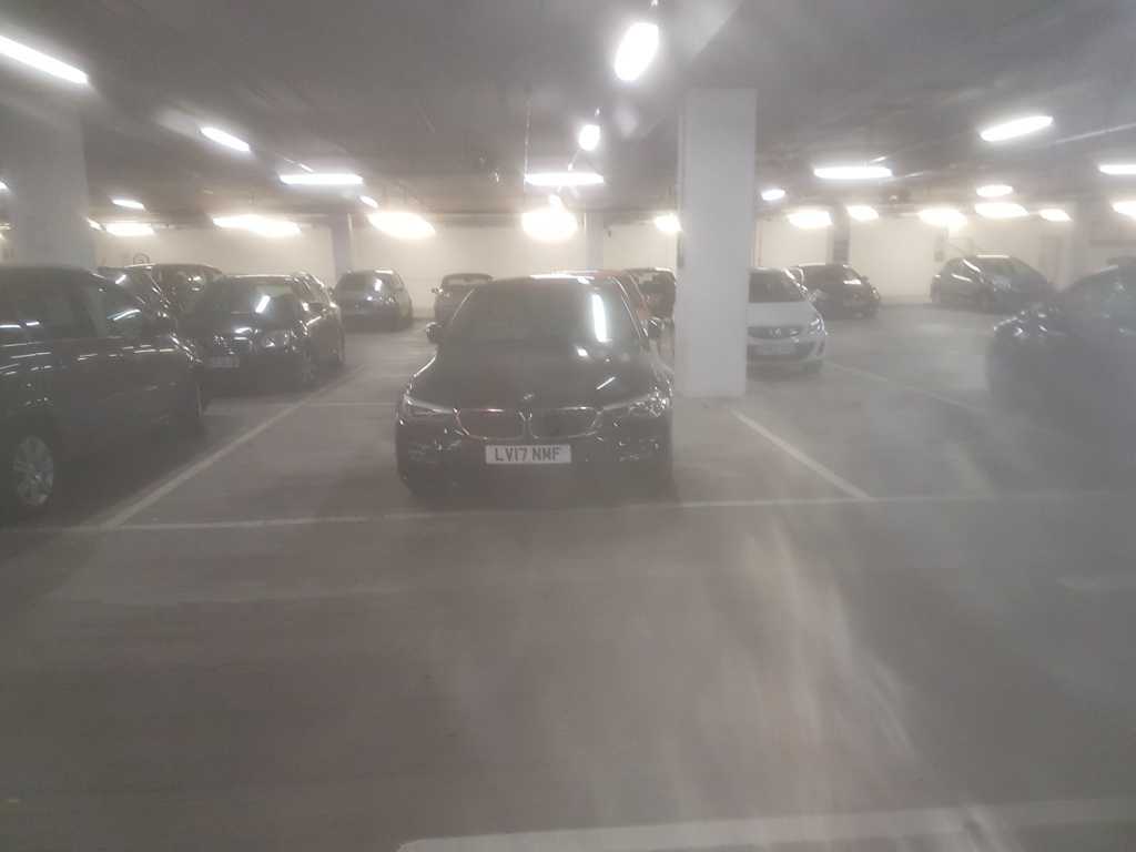 LV17 NMF displaying Selfish Parking