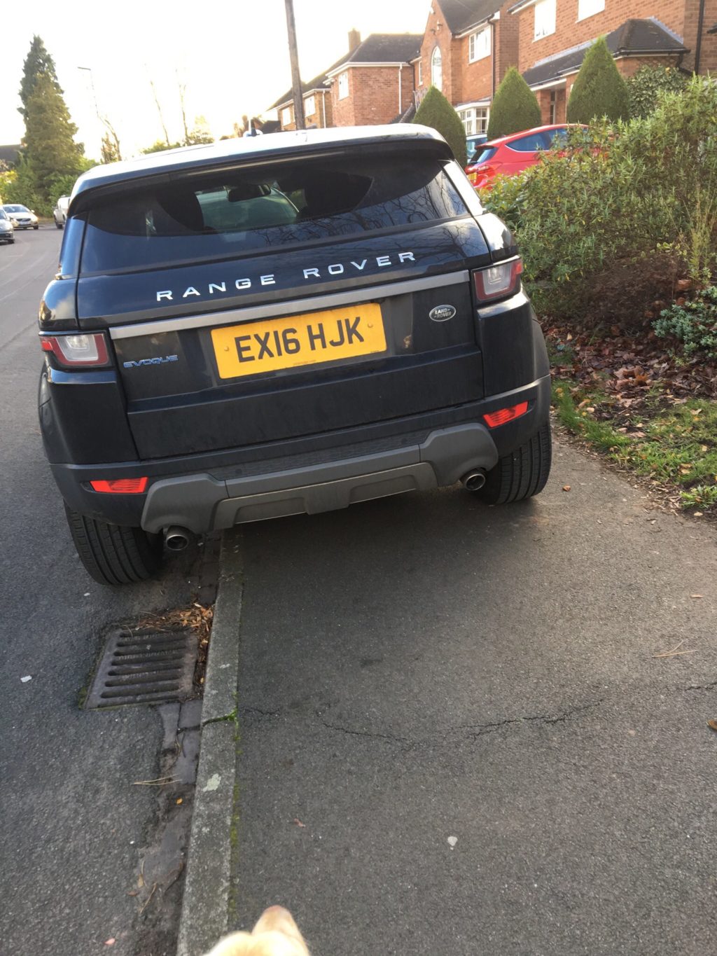 EX16 HJK displaying Selfish Parking