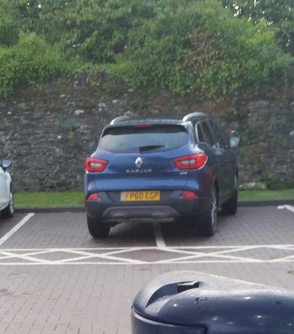 FP60 EPG displaying Selfish Parking