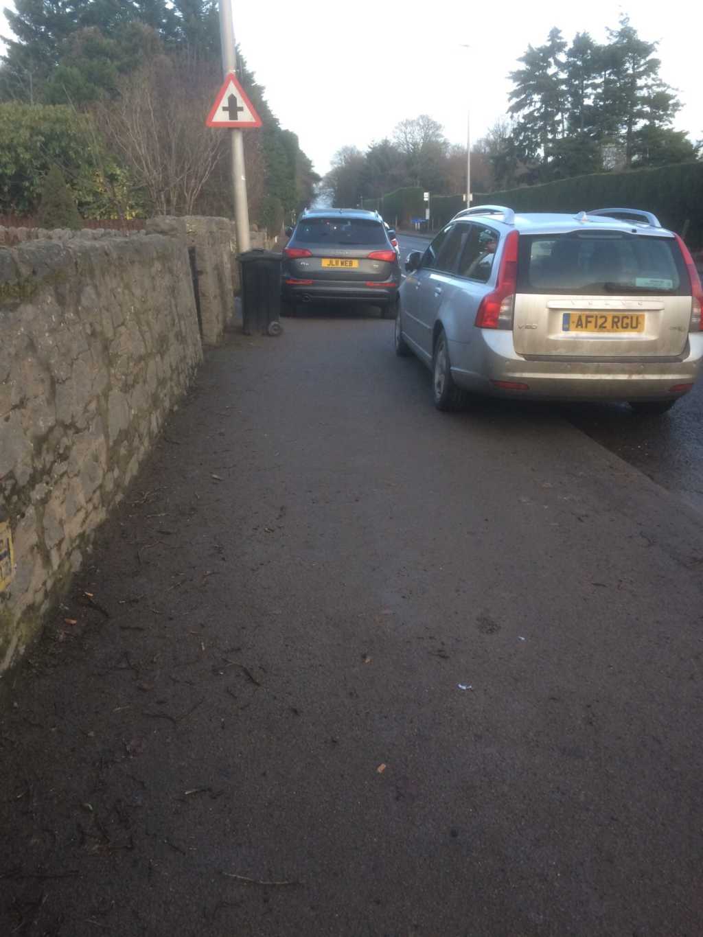 L11 WEB displaying Selfish Parking