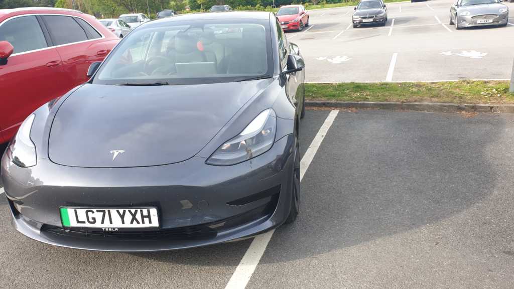 Selfish Parker LG71YXH